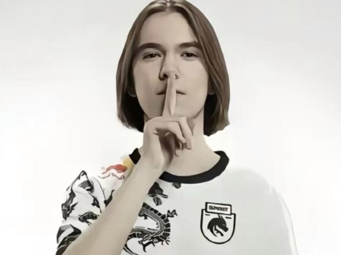 熊的系列赛